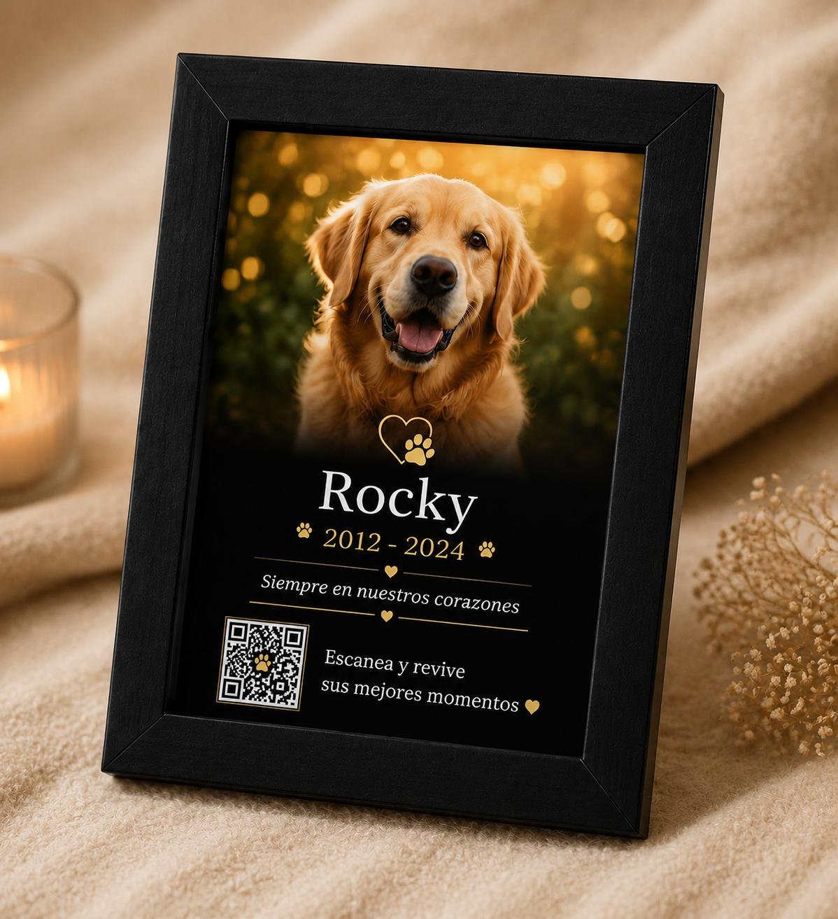 Placa QR